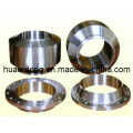 Large Dimension Pipe Flange (f006)